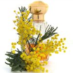عطر ادکلن پشن گوتال - Passion Goutal - بررسی، قیمت و خرید