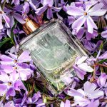 عطر ادکلن لاو استوری او سنسوئل کلوئه - Love Story Eau Sensuelle Chloé - بررسی، قیمت و خرید