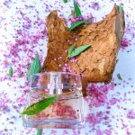 عطر ادکلن لاو این پاریس نینا ریچی - Love in Paris Nina Ricci - بررسی، قیمت و خرید