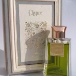 عطر ادکلن شیپغ کوتی - Chypre Coty - بررسی، قیمت و خرید