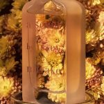 عطر ادکلن ای سنت بای ایسی میاکی او دو پرفیوم فلورال ایسه میاکه - A Scent by Issey Miyake Eau de Parfum Florale Issey Miyake - بررسی، قیمت و خرید