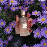 عطر ادکلن دویل تندر اِکس نیهِلو - Devil Tender Ex Nihilo - بررسی، قیمت و خرید