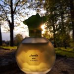 عطر ادکلن آناِل اوافلور - Annaelle Evaflor - بررسی، قیمت و خرید