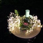 عطر ادکلن ماتسو ماساکی ماتسوشیما - Matsu Masaki Matsushima - بررسی، قیمت و خرید