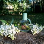 عطر ادکلن ماتسو ماساکی ماتسوشیما - Matsu Masaki Matsushima - بررسی، قیمت و خرید