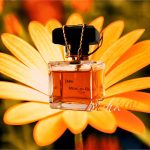 عطر ادکلن جابو مونا دی اوریو - Jabu Mona di Orio - بررسی، قیمت و خرید