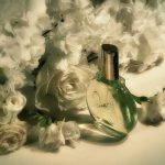 عطر ادکلن ژاردن این نیویورک گلوریا وندربیلت - Jardin a New York Gloria Vanderbilt - بررسی، قیمت و خرید