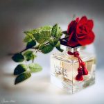 عطر ادکلن لالیک له پرفیوم لالیک - Lalique Le Parfum Lalique - بررسی، قیمت و خرید