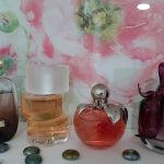 عطر ادکلن پرمیر ژوق نینا ریچی - Premier Jour Nina Ricci - بررسی، قیمت و خرید