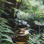 عطر ادکلن میر کاساتی مونا دی اوریو - Myrrh Casati Mona di Orio - بررسی، قیمت و خرید