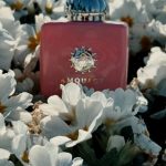 عطر ادکلن بلاسام لاو آمواژ - Blossom Love Amouage - بررسی، قیمت و خرید