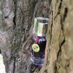 عطر ادکلن می مای‌سلف اند آی اِگوفَکتو - Me Myself & I Egofacto - بررسی، قیمت و خرید