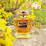 عطر ادکلن سولی پیکان تری د گونزبرگ - Soleil Piquant Terry de Gunzburg - بررسی، قیمت و خرید