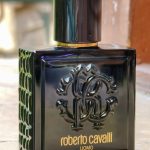 عطر ادکلن روبرتو کاوالی اومو رابرتو کاوالی - Roberto Cavalli Uomo Roberto Cavalli - بررسی، قیمت و خرید