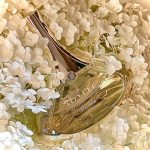 عطر ادکلن ایدیل ادو تویلت گرلن - Idylle Eau de toilette Guerlain - بررسی، قیمت و خرید