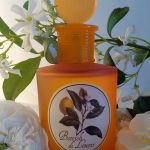 عطر ادکلن بوچولی دی لیمون مونوتم ونیزیا - Boccioli di Limone Monotheme Venezia - بررسی، قیمت و خرید