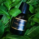 عطر ادکلن نوته دی ویاجو میو فوشیونی - 2# nota di viaggio (shukran) Meo Fusciuni - بررسی، قیمت و خرید