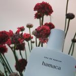 عطر ادکلن » بیست و هفت هشتاد و هفت - Hamaca 27 87 - بررسی، قیمت و خرید