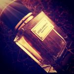 عطر ادکلن ولوت پاچولی دولچه اند گابانا - Velvet Patchouli Dolce&Gabbana - بررسی، قیمت و خرید
