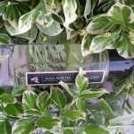 عطر ادکلن بِلَک رُز تی تیالوژی - Black Rose Tea Teaology - بررسی، قیمت و خرید
