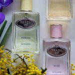 عطر ادکلن اینفیوژن دو ایه‌یه پِرادا - Infusion d'Oeillet Prada - بررسی، قیمت و خرید