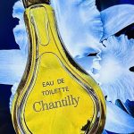 عطر ادکلن شانتی هوبیگانت - Chantilly Houbigant - بررسی، قیمت و خرید