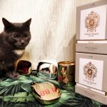 عطر ادکلن دراکو تیزیانا ترنزی - Draco Tiziana Terenzi - بررسی، قیمت و خرید