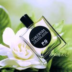 عطر ادکلن گاردنیا گرند سوآر پیر گیلوم پاریس - Gardenia Grand Soir Pierre Guillaume Paris - بررسی، قیمت و خرید