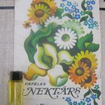 عطر ادکلن کالرز دی بنتون بنتون - Colors de Benetton (Original) Benetton - بررسی، قیمت و خرید