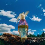 عطر ادکلن لِ اَغ دو تَن کُلُمب کُلوق نینا ریچی - L'Air du Temps Colombes Couleur Nina Ricci - بررسی، قیمت و خرید