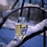 عطر ادکلن نیو وست فور هیم آرامیس - New West for Him Aramis - بررسی، قیمت و خرید