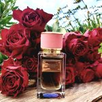 عطر ادکلن ولوت رز دولچه اند گابانا - Velvet Rose Dolce&Gabbana - بررسی، قیمت و خرید