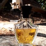 عطر ادکلن وانیسیا کرید - Vanisia Creed - بررسی، قیمت و خرید