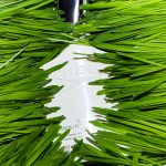 عطر ادکلن سیلور مونتین واتر کریید - Silver Mountain Water Creed - بررسی، قیمت و خرید