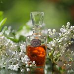 عطر ادکلن بیلایا سیرن سیویرنوی سیاْنیه - Белая сирень (White Lilac) Северное сияние - بررسی، قیمت و خرید