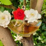 عطر ادکلن رافلز اسکار دلا رنتا - Ruffles Oscar de la Renta - بررسی، قیمت و خرید