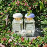 عطر ادکلن ایکَت جَسمین آرین - Ikat Jasmine Aerin - بررسی، قیمت و خرید
