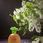 عطر ادکلن آناِل اوافلور - Annaelle Evaflor - بررسی، قیمت و خرید
