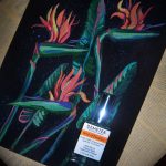 عطر ادکلن بِرد آو پارادایز دِمتر فرگِرَنس - Bird of Paradise Demeter Fragrance - بررسی، قیمت و خرید