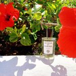 عطر ادکلن اکوا دی پارما کلونیا آکوا دی پارما - Acqua di Parma Colonia Acqua di Parma - بررسی، قیمت و خرید