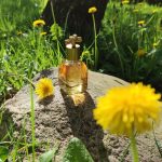 عطر ادکلن نات بوتگا ونتا - Knot Bottega Veneta - بررسی، قیمت و خرید