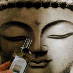 عطر ادکلن تری دی امریکو دربه - Terre di Amerigo Derbe - بررسی، قیمت و خرید