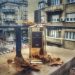 عطر ادکلن چن سرژ لوتنز - Chene Serge Lutens - بررسی، قیمت و خرید