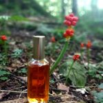 عطر ادکلن سیارا رولون - Ciara Revlon - بررسی، قیمت و خرید