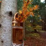 عطر ادکلن پرامیس می ماوبوسین - Promise Me Mauboussin - بررسی، قیمت و خرید