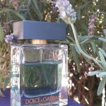 عطر ادکلن ذ وان جنتلمن دولچه گابانا - The One Gentleman Dolce&Gabbana - بررسی، قیمت و خرید