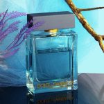 عطر ادکلن ذ وان جنتلمن دولچه گابانا - The One Gentleman Dolce&Gabbana - بررسی، قیمت و خرید