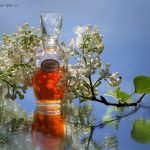 عطر ادکلن بیلایا سیرن سیویرنوی سیاْنیه - Белая сирень (White Lilac) Северное сияние - بررسی، قیمت و خرید