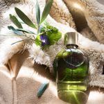 عطر ادکلن آربوله آربوله هایِرام گرین - Arbolé Arbolé Hiram Green - بررسی، قیمت و خرید