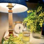 عطر ادکلن اودموزل دی ژیوانشی ژیوانشی - Eaudemoiselle de Givenchy Givenchy - بررسی، قیمت و خرید